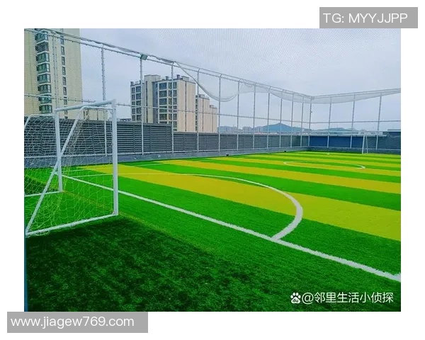 当足球生：从绿茵场上的拼搏到人生的启示与成长之路